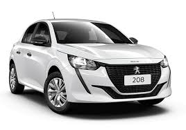 208 1.0 FIREFLY FLEX LIKE MANUAL 2024/2025