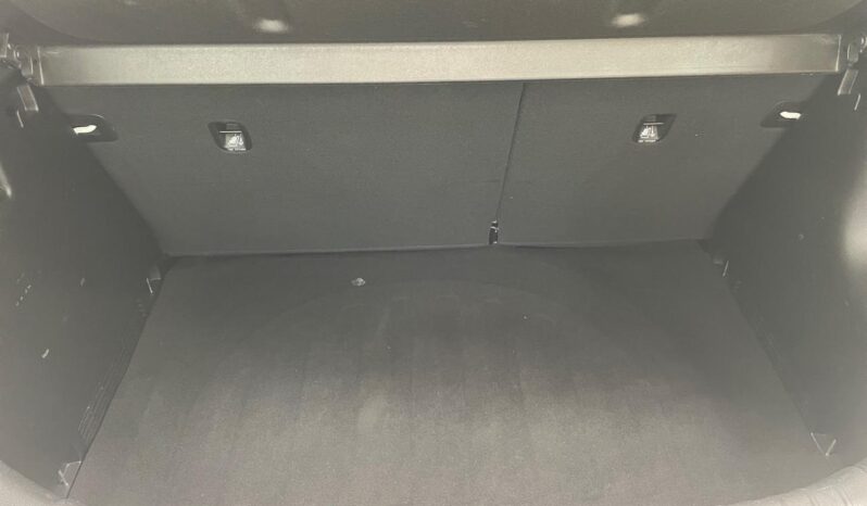 
								RIO 1.6 16V FLEX LX AUTOMATICO 2019/2020 full									